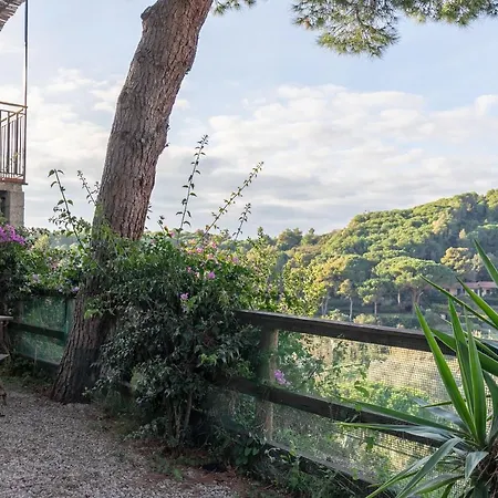 Апартаменты Simona *