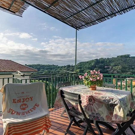 Simona Фетовайя